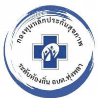 กองทุนตำบลทุ่งพลา